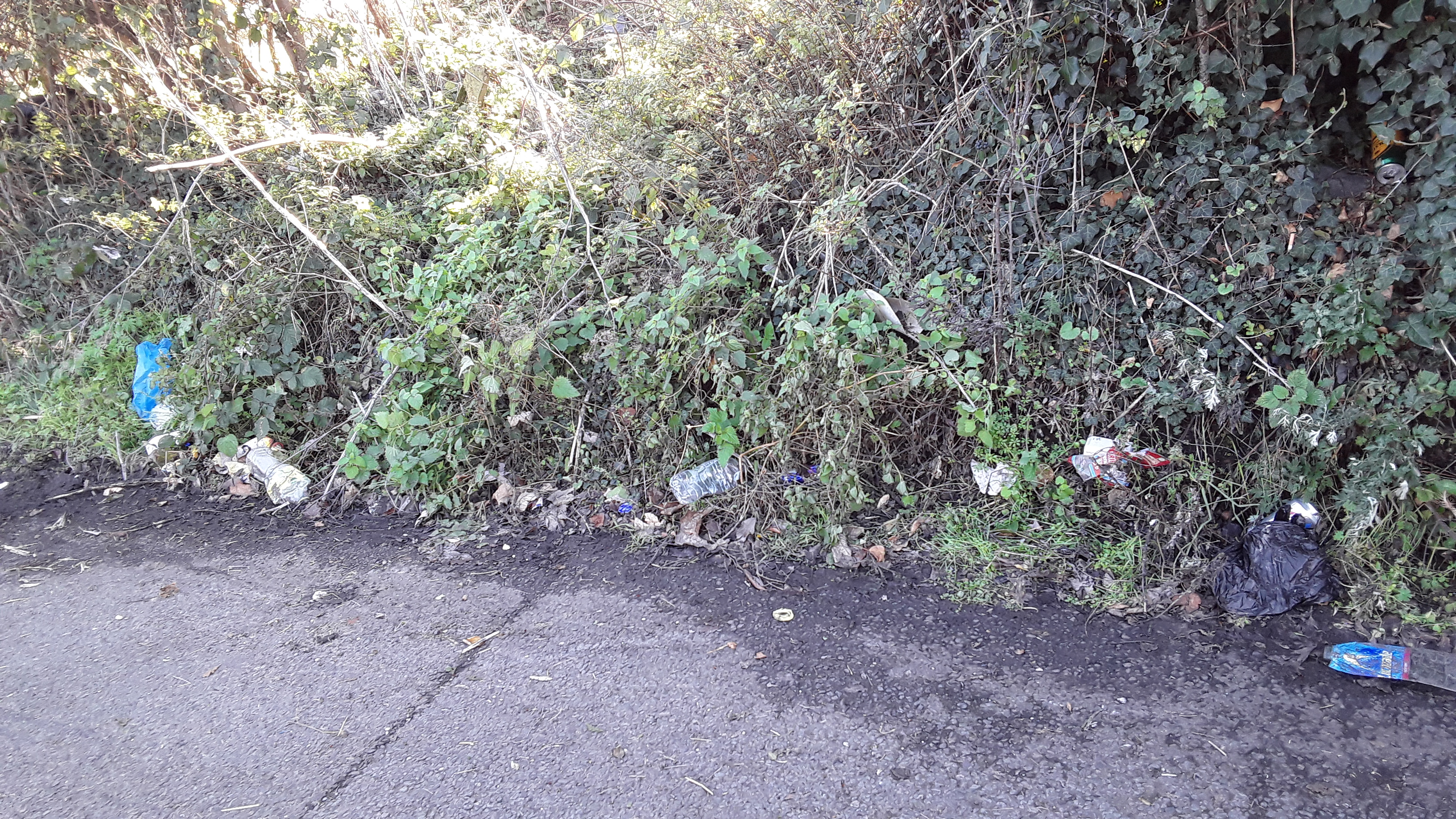 more trash in black bin liners