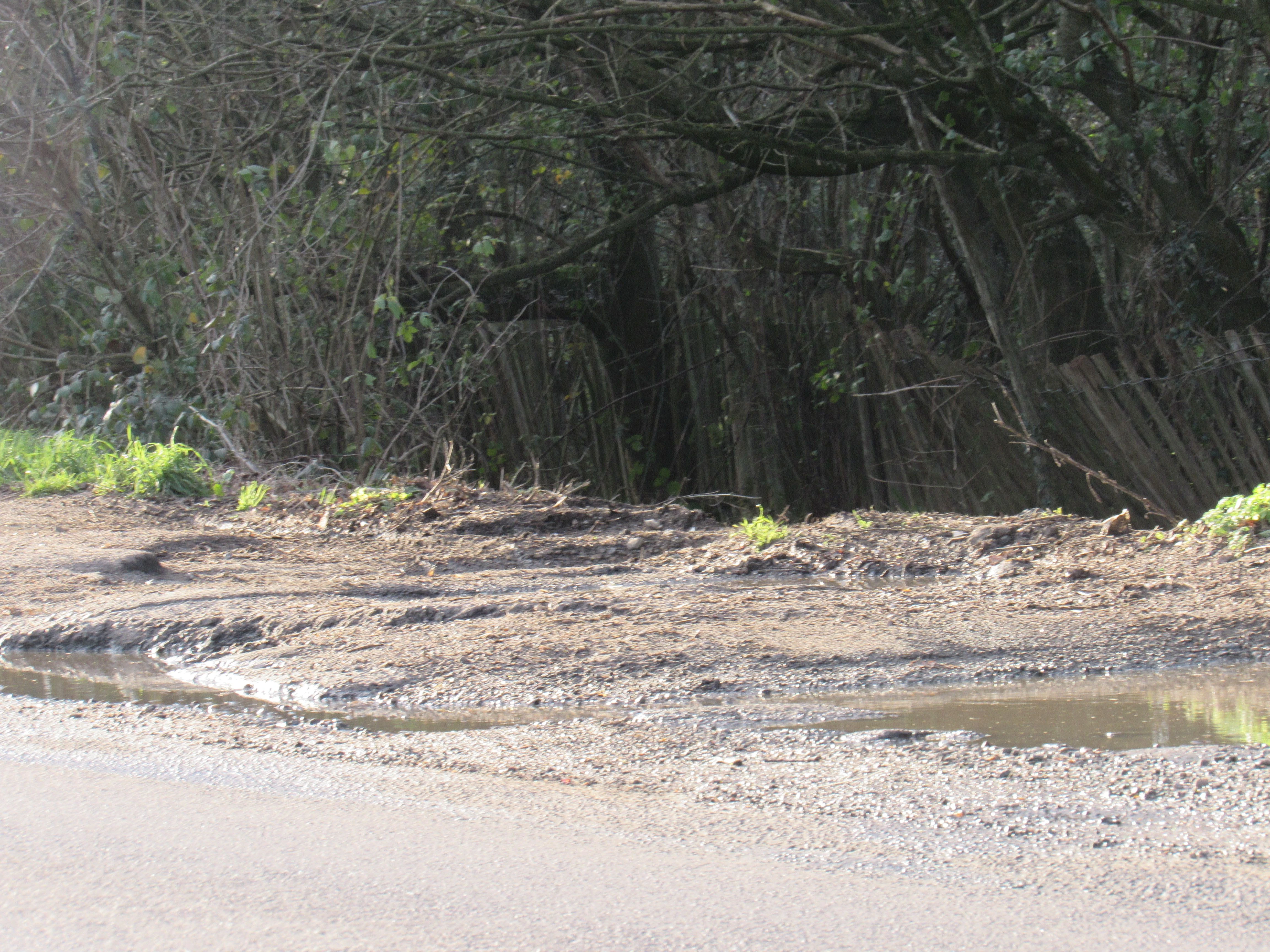 a photo of reflective posts at a layby in Uckfield