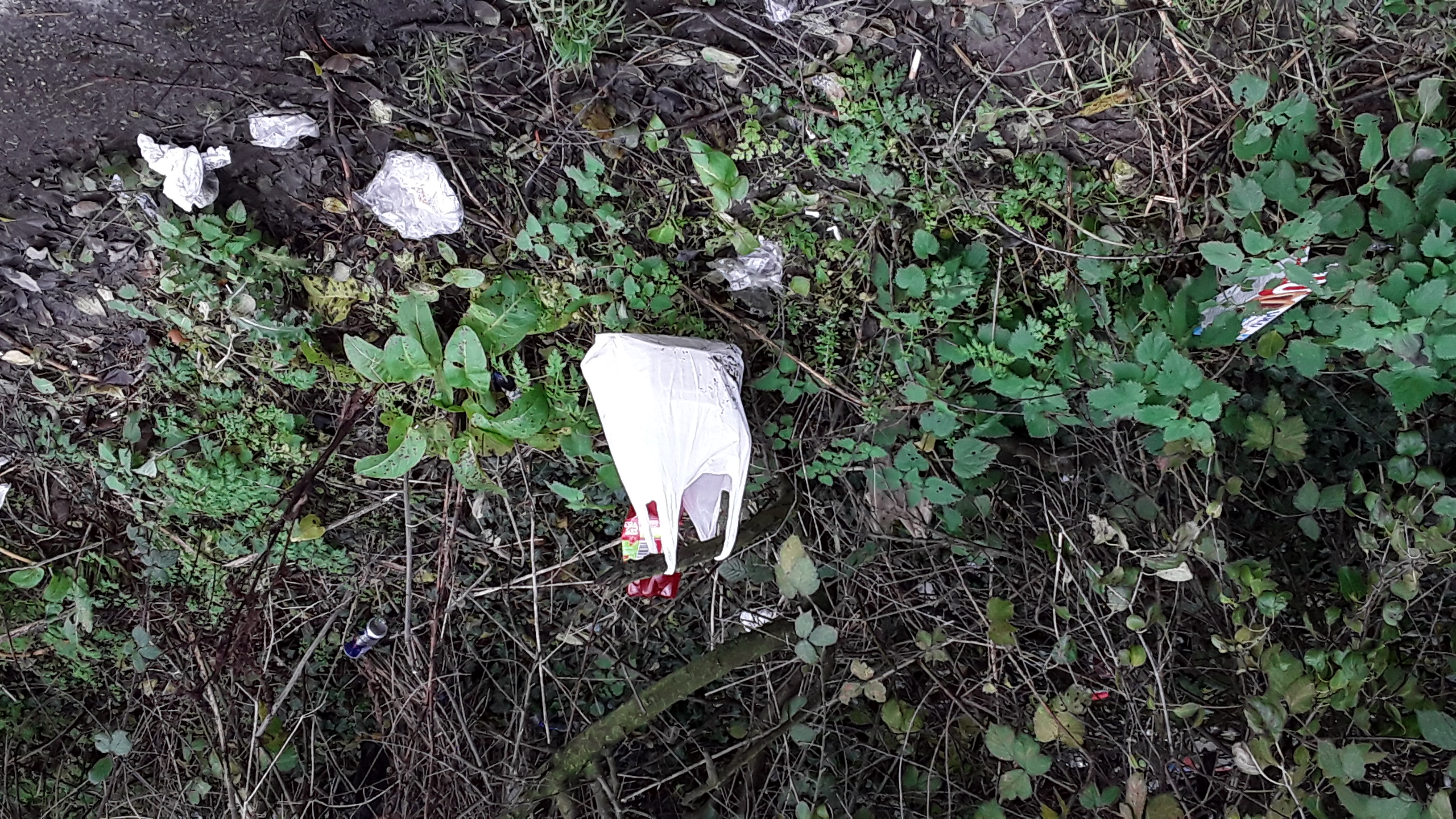a discarded wheelbarrow at the layby