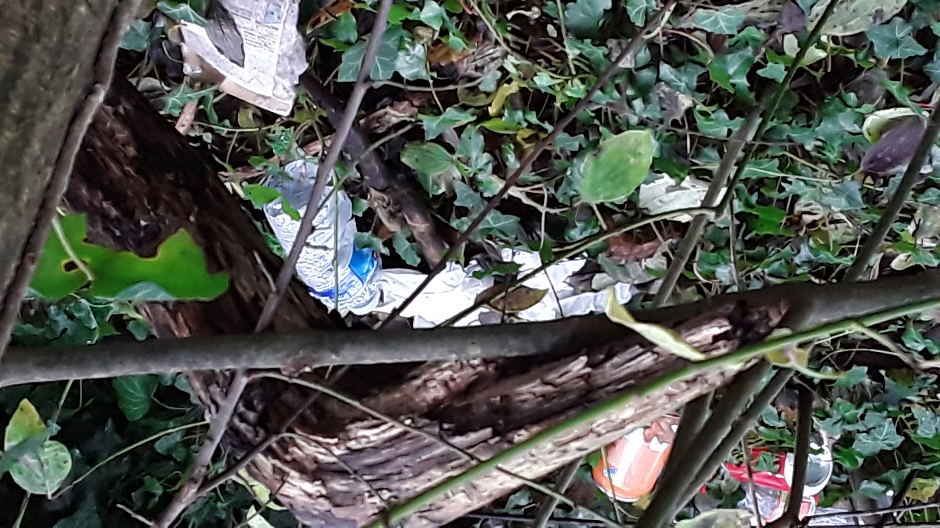 a picture of the layby after the council has cut the grass