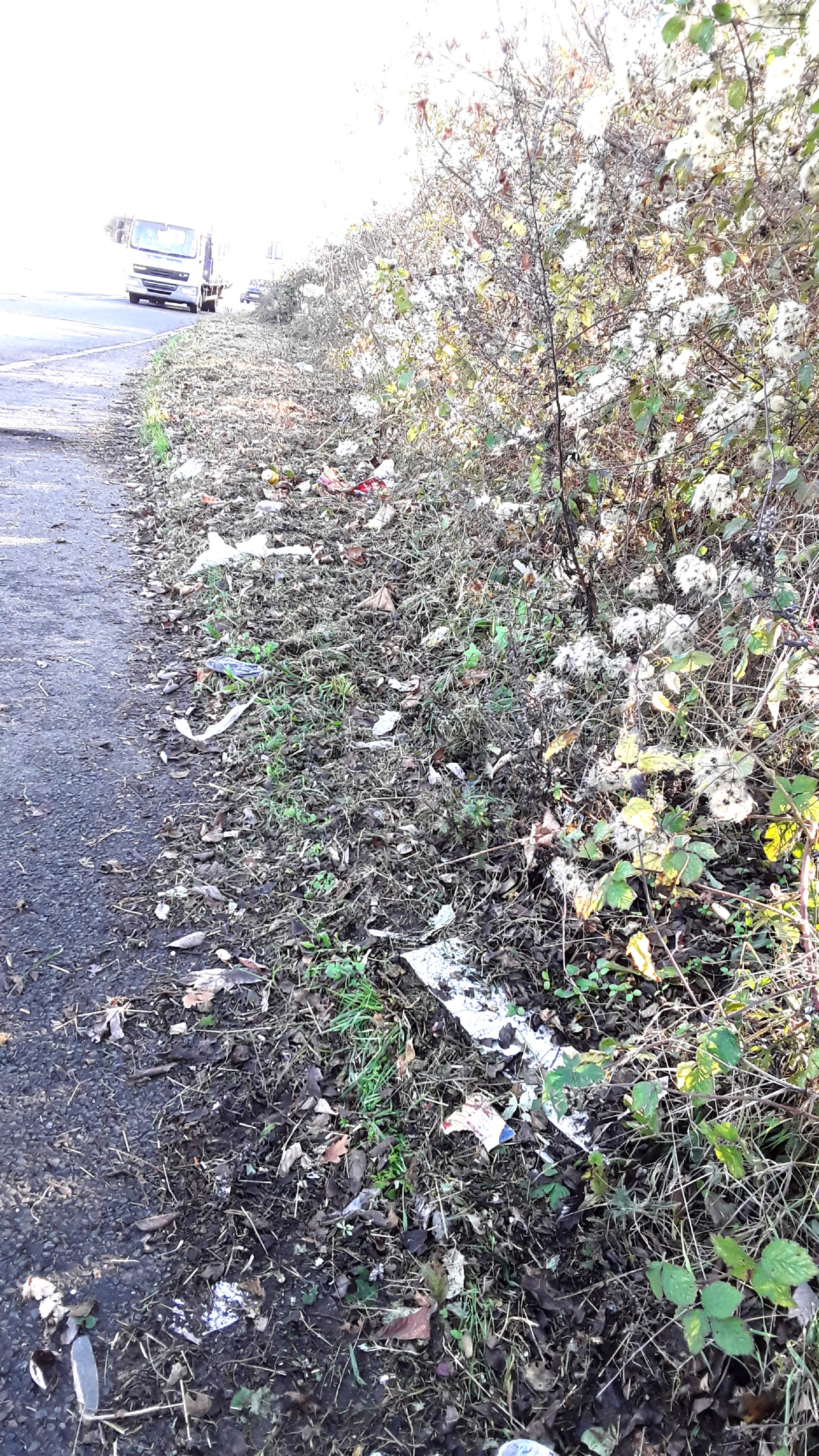 pic of grass cutting on verge on West Kingsdown road