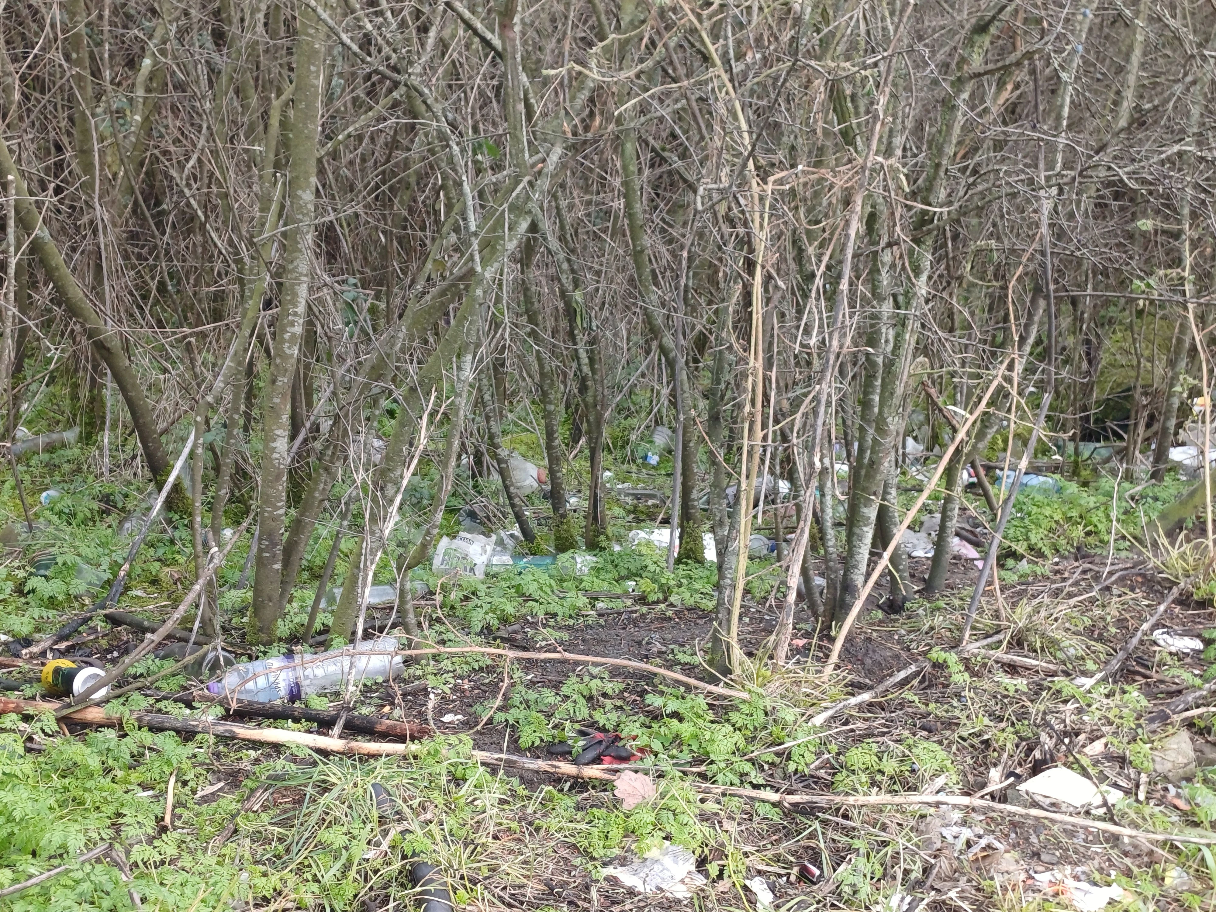a photo of litter at layby Tonbridge 